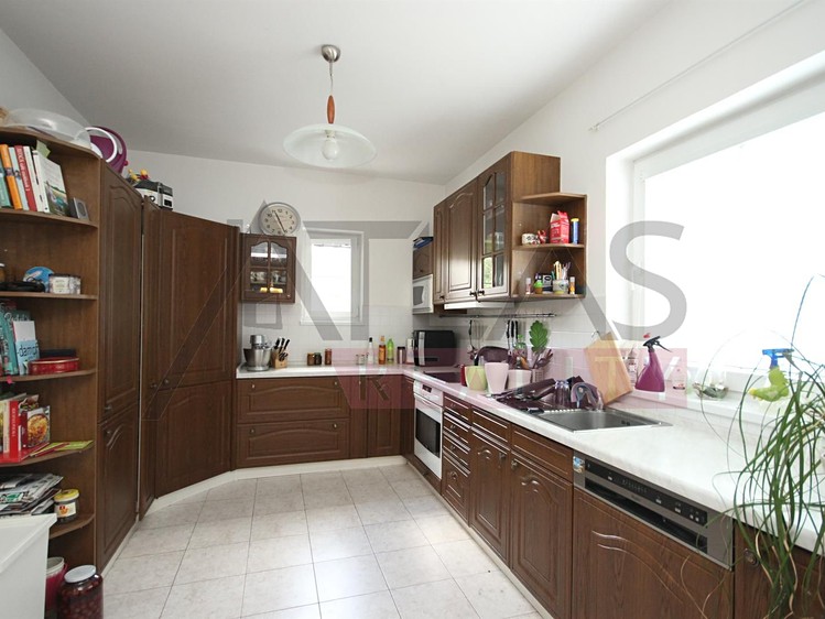 Pronájem rodinného domu 303 m², pozemek 1 000 m² - foto 7