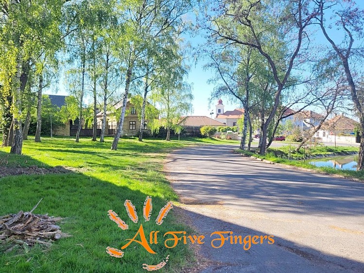 Pronájem rodinného domu 200 m², pozemek 1 310 m² - foto 3