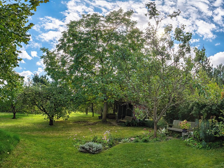 Pronájem rodinného domu 280 m², pozemek 1 278 m² - foto 6