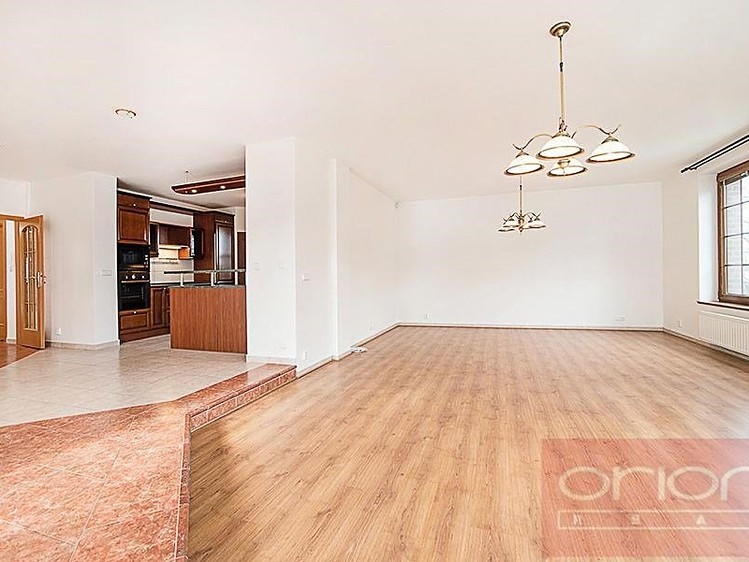 Pronájem rodinného domu 390 m², pozemek 903 m² - foto 4