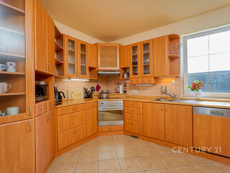 Pronájem rodinného domu 290 m², pozemek 896 m² - foto 6