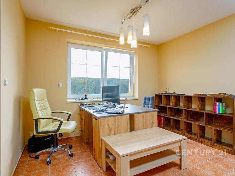 Pronájem rodinného domu 290 m², pozemek 896 m² - foto 8
