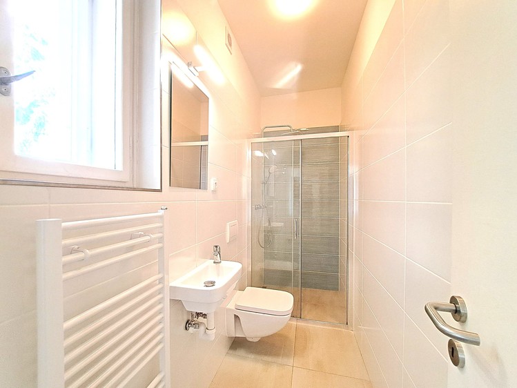 Pronájem rodinného domu 250 m², pozemek 730 m² - foto 7