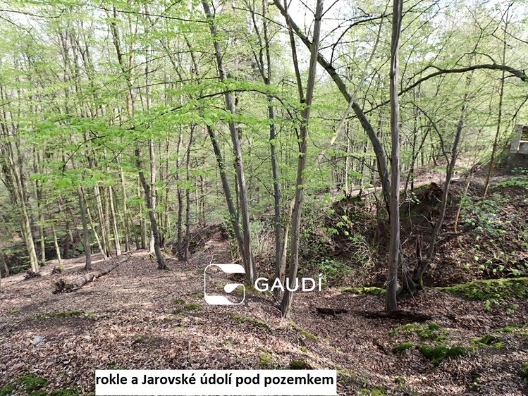 Prodej stavebního pozemku 1 483 m² - foto 8