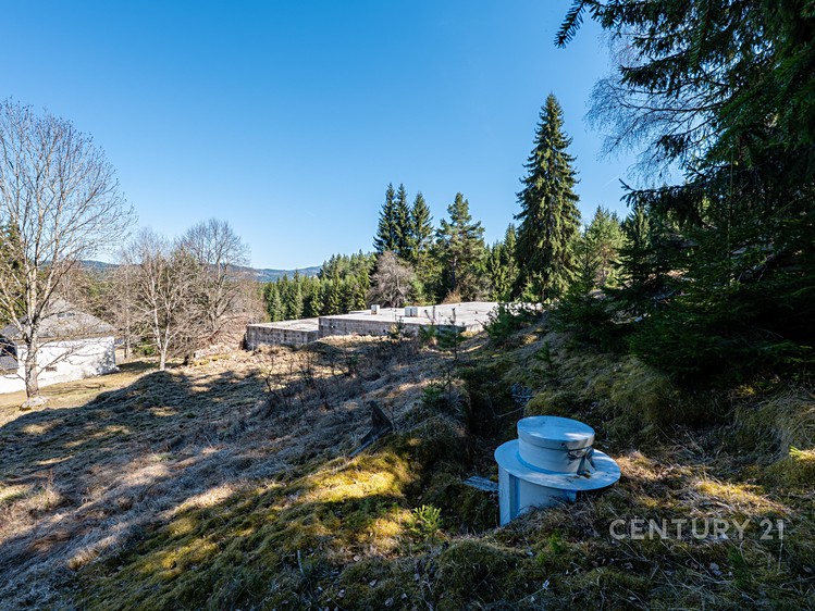 Prodej  stavebního pozemku 10 137 m² - foto 6