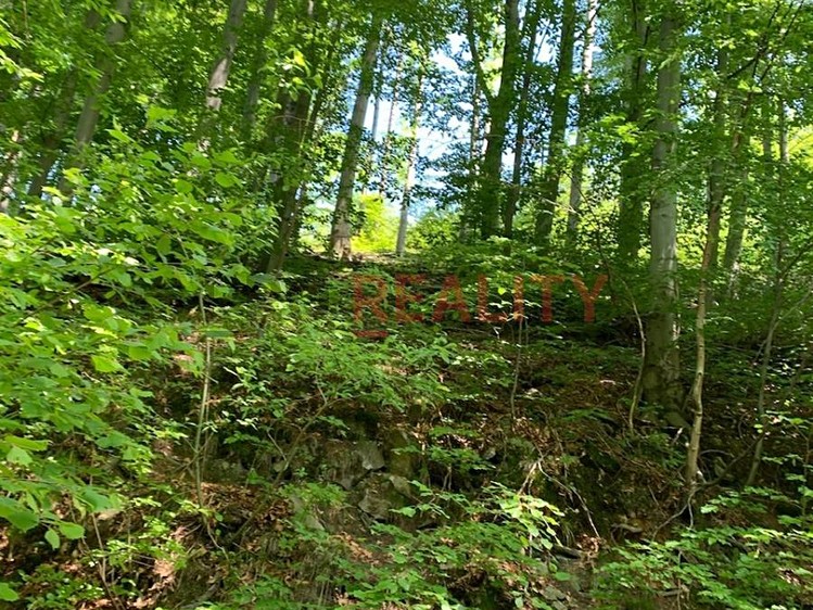 Prodej lesa 102 143 m² - foto 2
