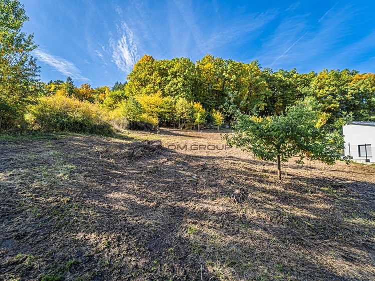 Prodej stavebního pozemku 1 364 m² - foto 4
