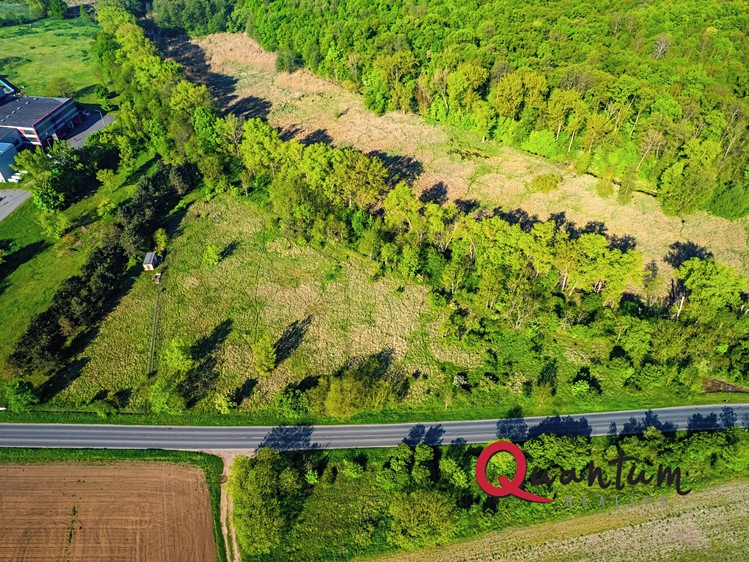Prodej komerčního pozemku 6 186 m² - foto 7
