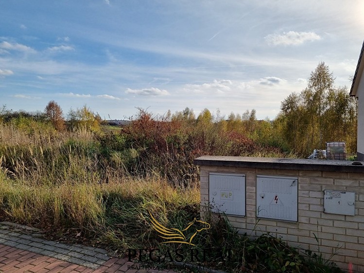 Prodej  stavebního pozemku 2 689 m² - foto 8