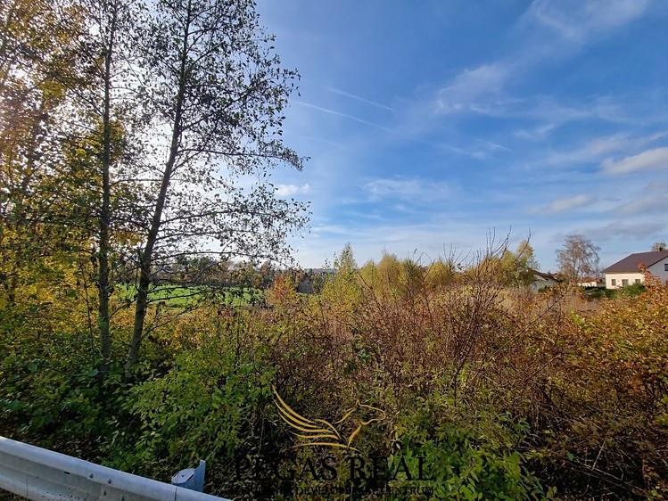 Prodej  stavebního pozemku 2 689 m² - foto 6
