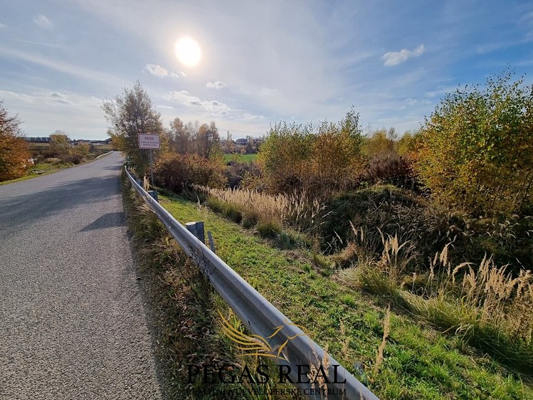 Prodej  stavebního pozemku 2 689 m² - foto 5