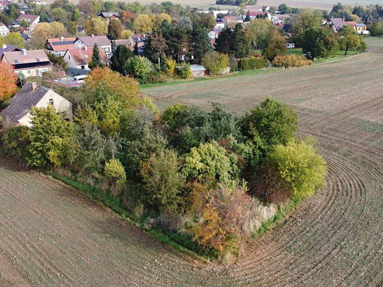Prodej  stavebního pozemku 1 097 m² - foto 6