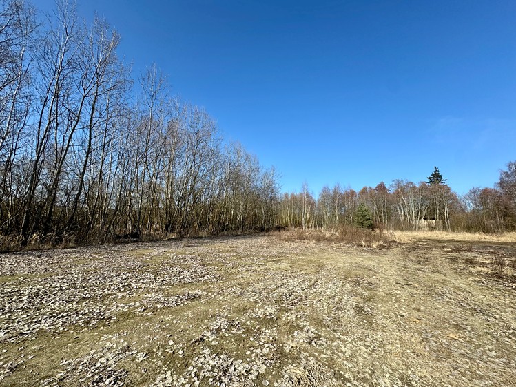 Prodej  komerčního pozemku 38 000 m² - foto 6