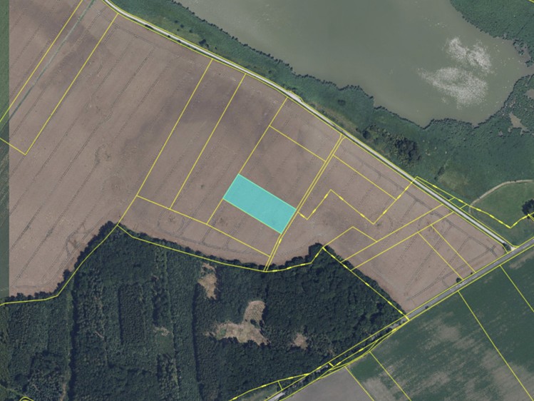 Prodej pole 5 338 m² - foto 1