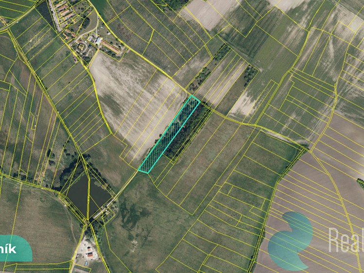 Prodej podílu 1/8 pole 3 089 m² - foto 4