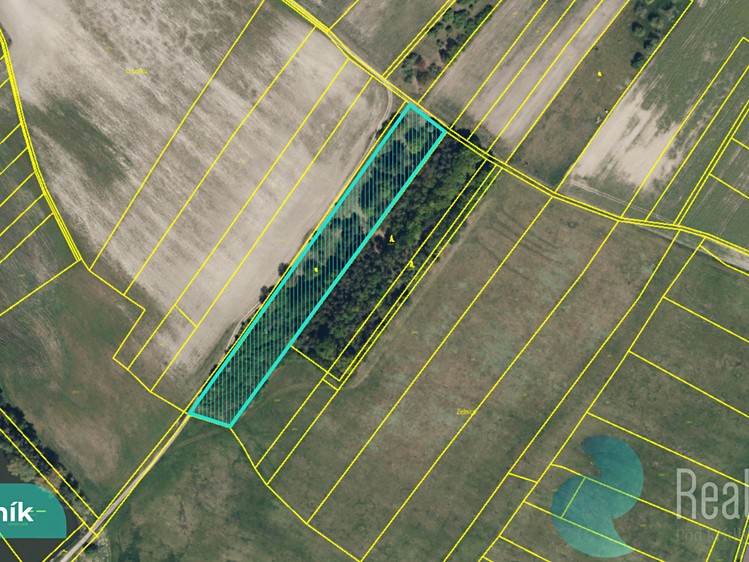 Prodej podílu 1/8 pole 3 089 m² - foto 1