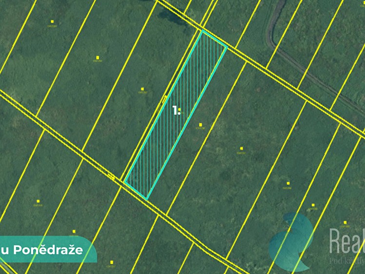 Prodej podílu 1/2 pole 4 195 m² - foto 1