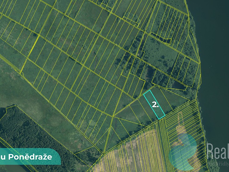 Prodej podílu 1/2 pole 4 195 m² - foto 4