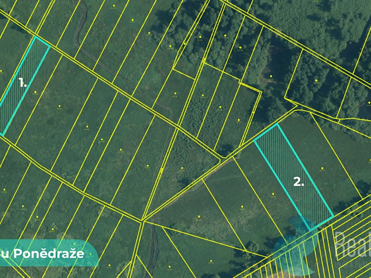 Prodej podílu 1/2 pole 4 195 m² - foto 5