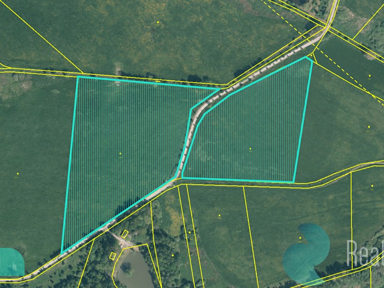 Prodej podílu 1/4 louky 12 559 m² - foto 1