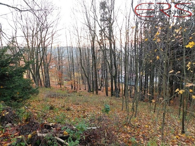 Prodej louky 3 165 m² - foto 7