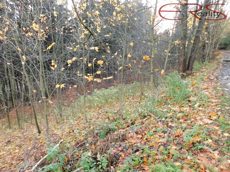 Prodej louky 3 165 m² - foto 5