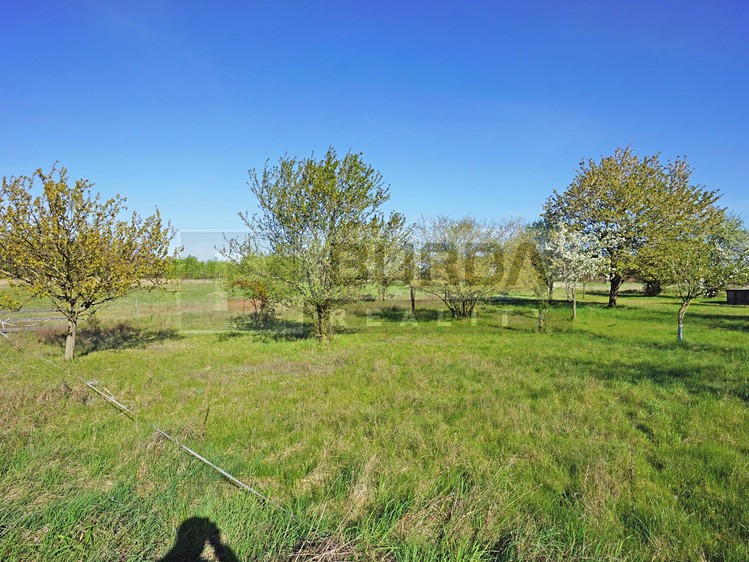 Prodej zahrady 9 817 m² - foto 5
