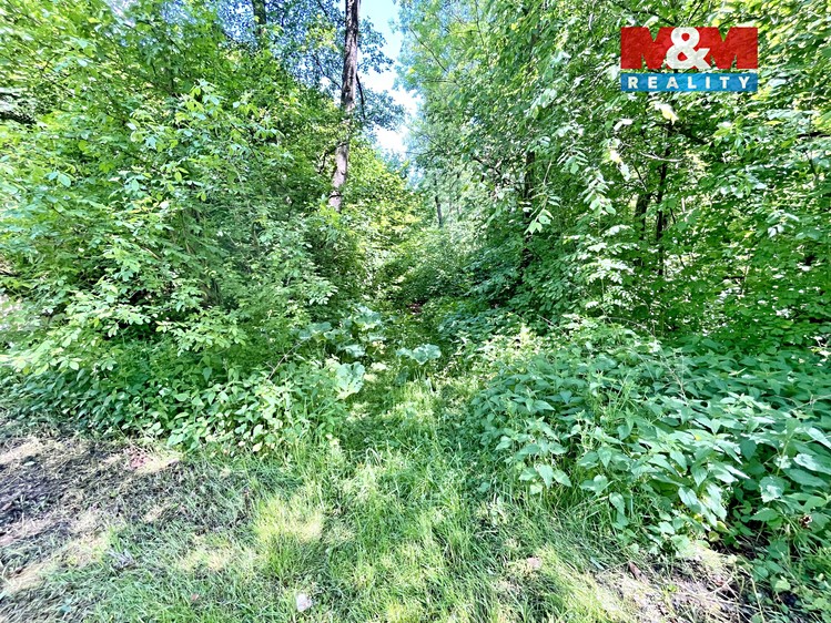 Prodej  pozemku 3 255 m² - foto 8