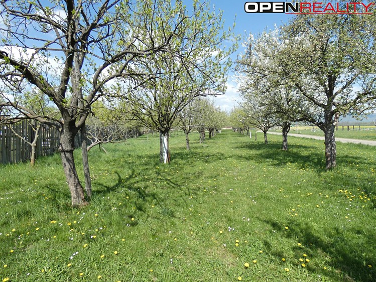 Prodej pozemku 3 224 m² - foto 2