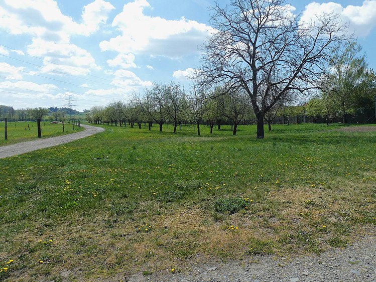 Prodej pozemku 3 224 m² - foto 1