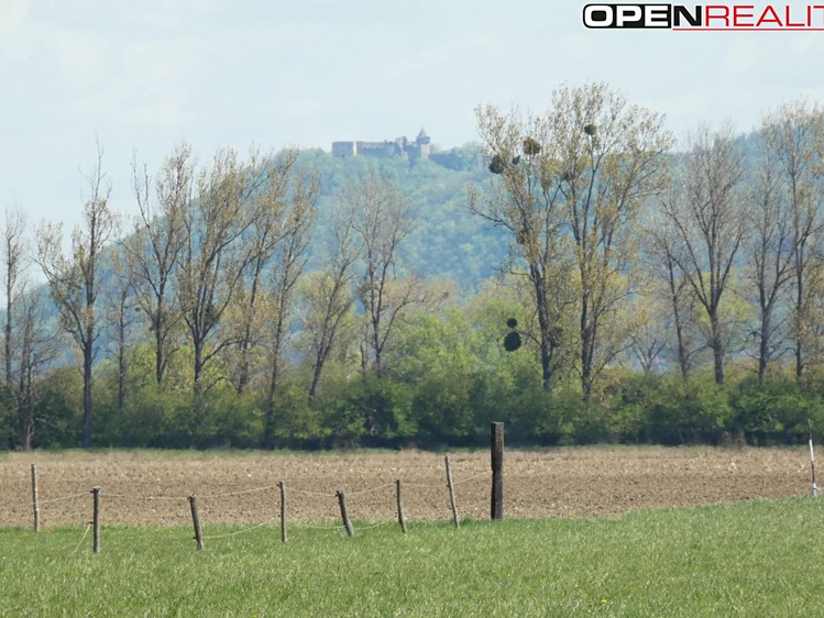 Prodej pozemku 3 224 m² - foto 6