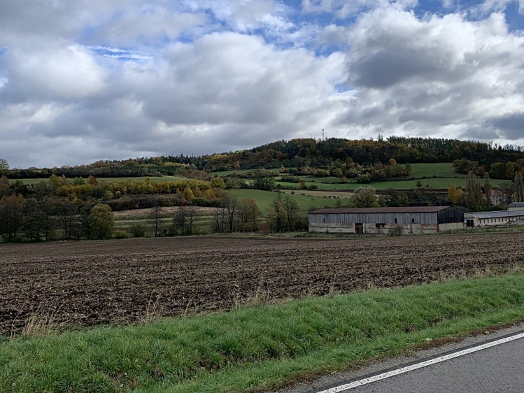 Prodej pole 3 913 m² - foto 4