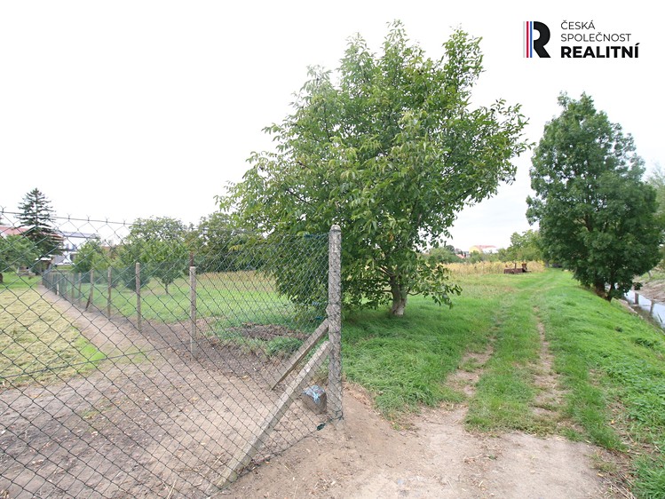 Prodej  zahrady 589 m² - foto 4