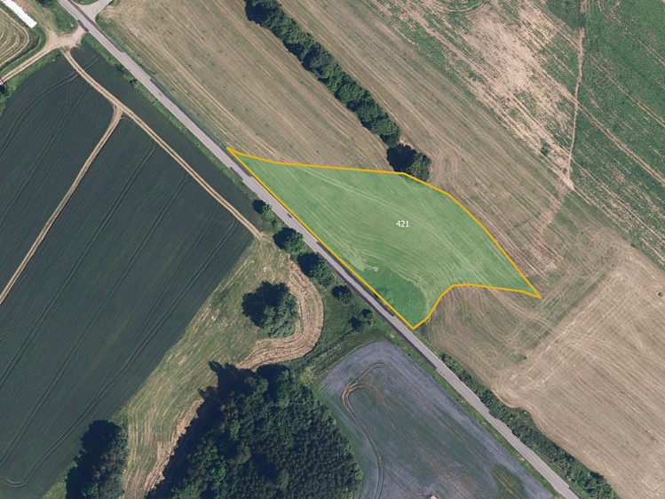 Prodej louky 9 806 m² - foto 1