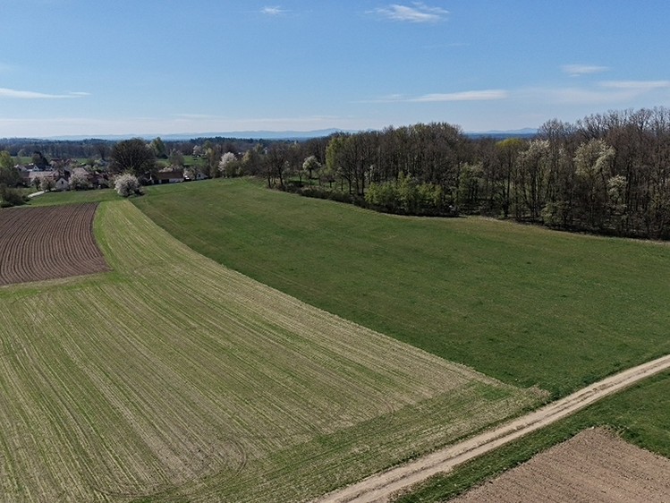 Prodej lesa 389 696 m² - foto 4