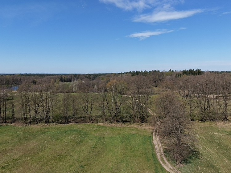 Prodej lesa 389 696 m² - foto 2