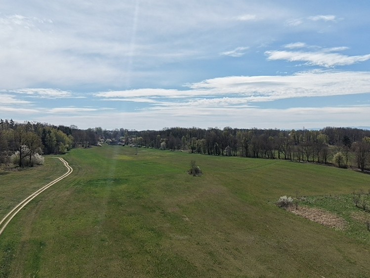 Prodej lesa 389 696 m² - foto 6