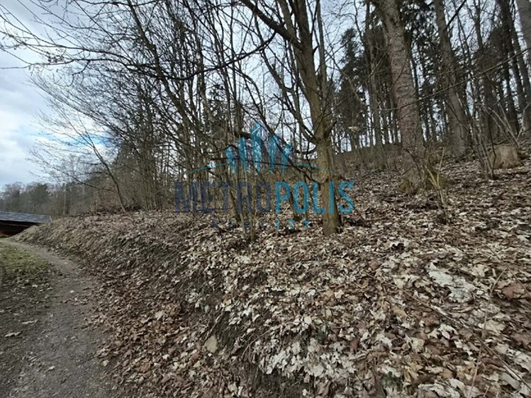 Prodej lesa 1 939 m² - foto 1