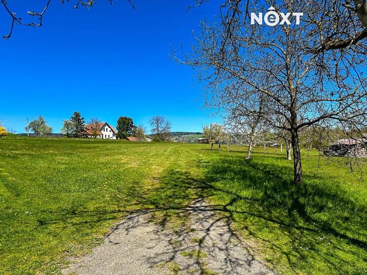 Prodej stavebního pozemku 3 181 m² - foto 3