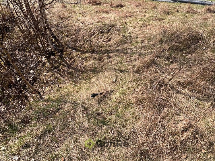 Prodej stavebního pozemku 3 408 m² - foto 8