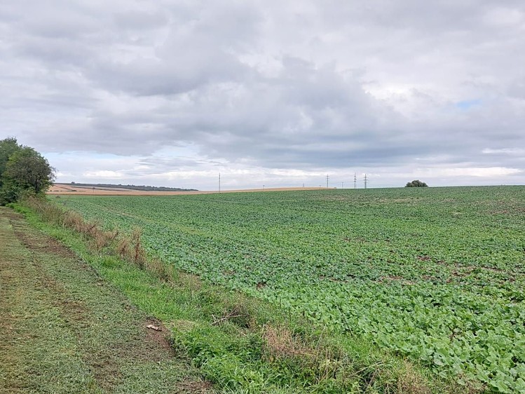 Prodej komerčního pozemku 25 000 m² - foto 2