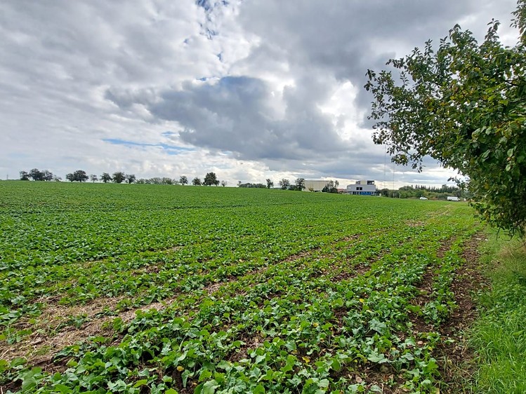 Prodej komerčního pozemku 25 000 m² - foto 3