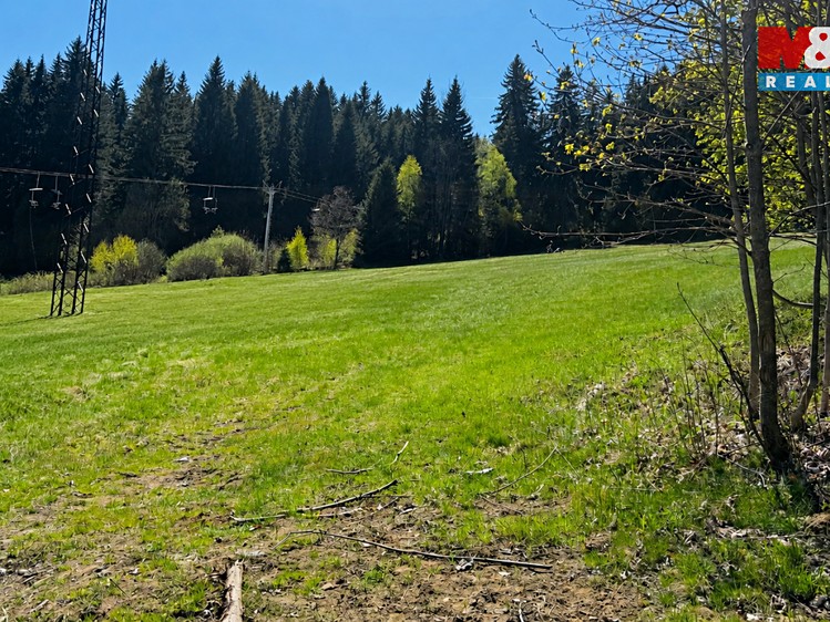 Prodej  louky 4 150 m² - foto 5