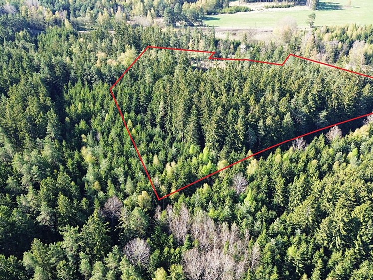 Prodej lesa 32 111 m² - foto 1