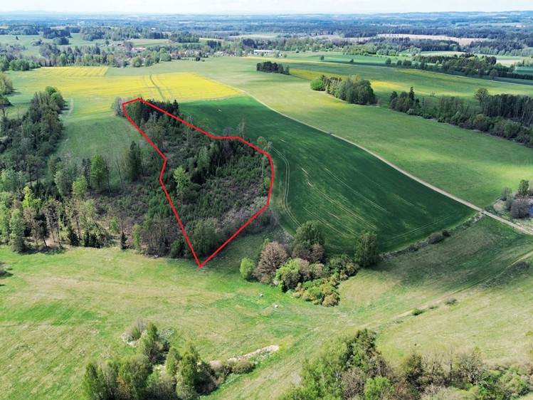 Prodej lesa 18 833 m² - foto 1