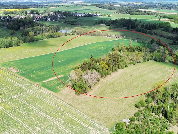 Prodej lesa 18 833 m² - foto 2