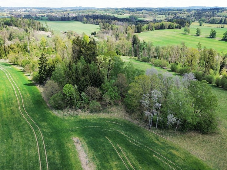 Prodej lesa 18 833 m² - foto 4
