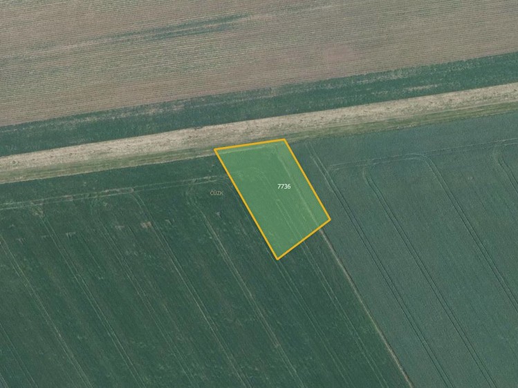 Prodej pole 7 073 m² - foto 4