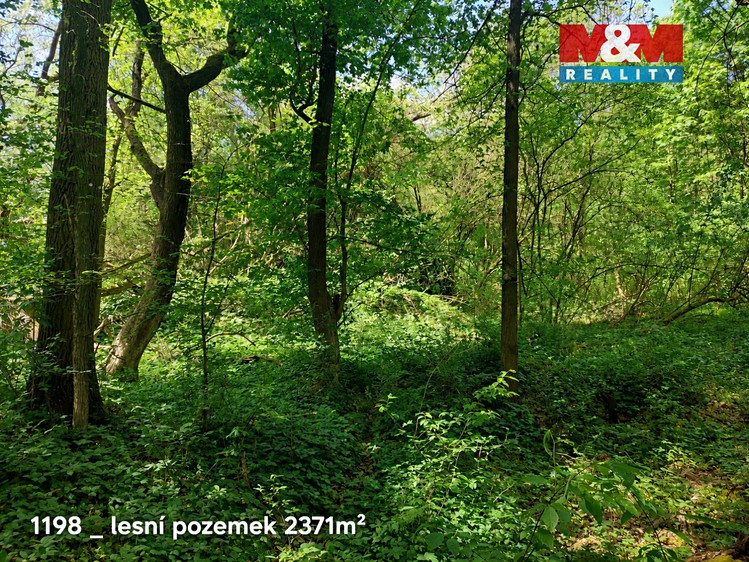 Prodej pozemku 151 762 m² - foto 3
