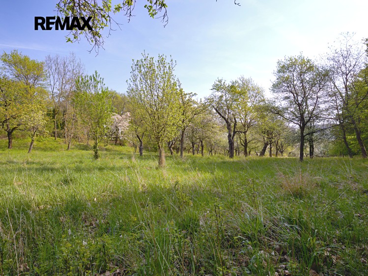 Prodej  stavebního pozemku 1 697 m² - foto 3